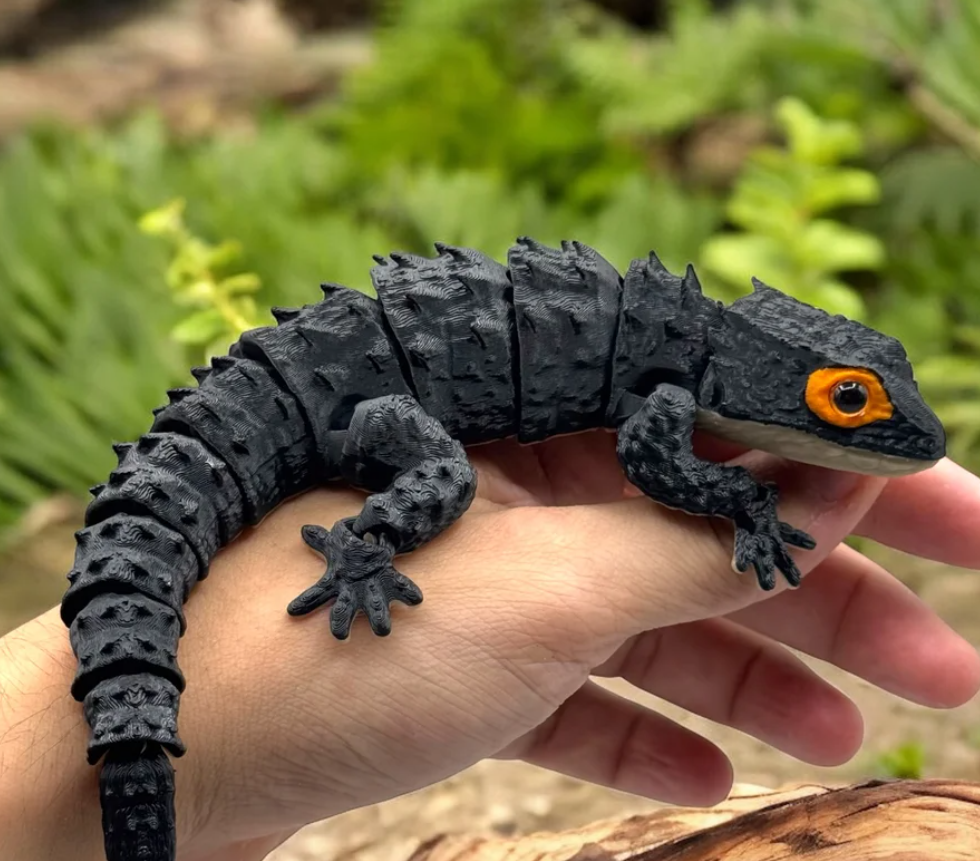 Red-Eyed Crocodile Skinks