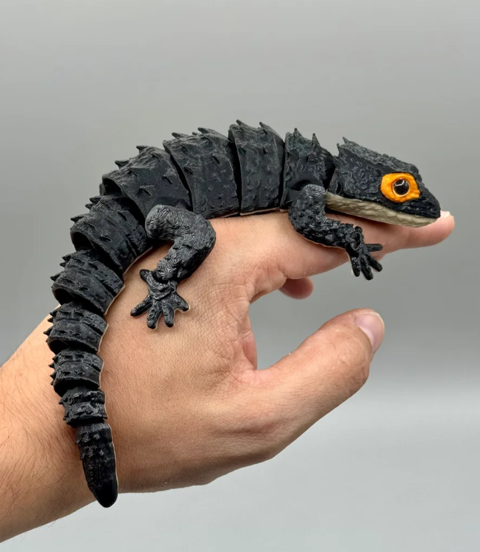 Red-Eyed Crocodile Skinks