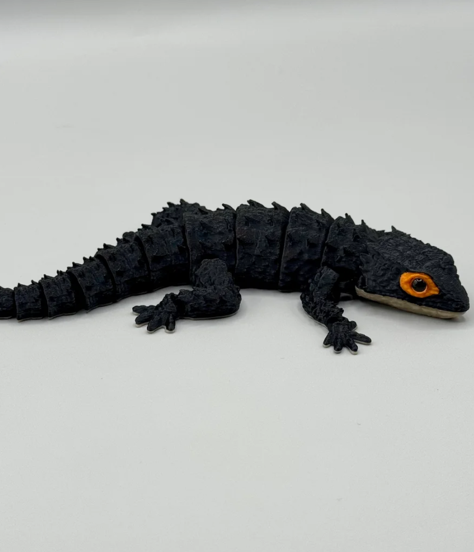 Red-Eyed Crocodile Skinks