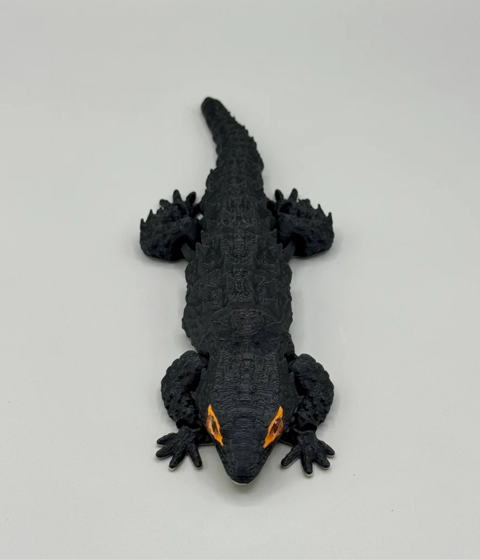 Red-Eyed Crocodile Skinks