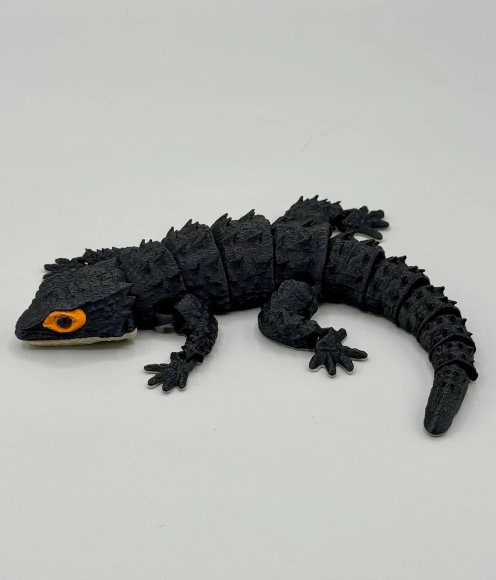 Red-Eyed Crocodile Skinks