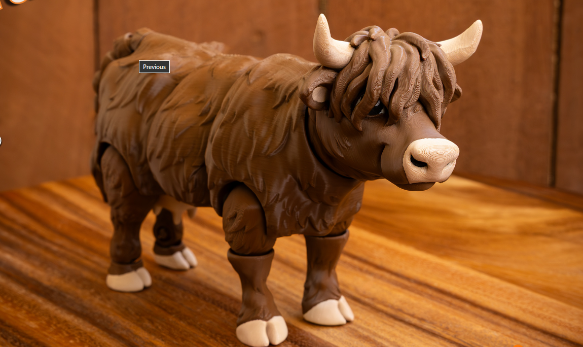 Highland Cow