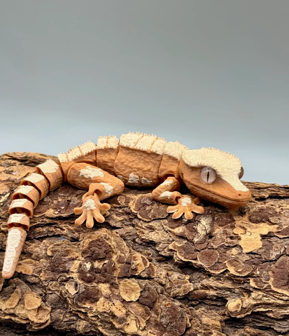 Crested Gecko