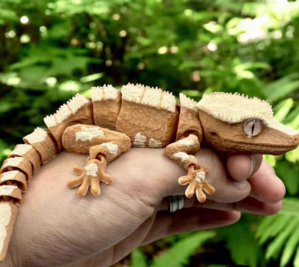 Crested Gecko