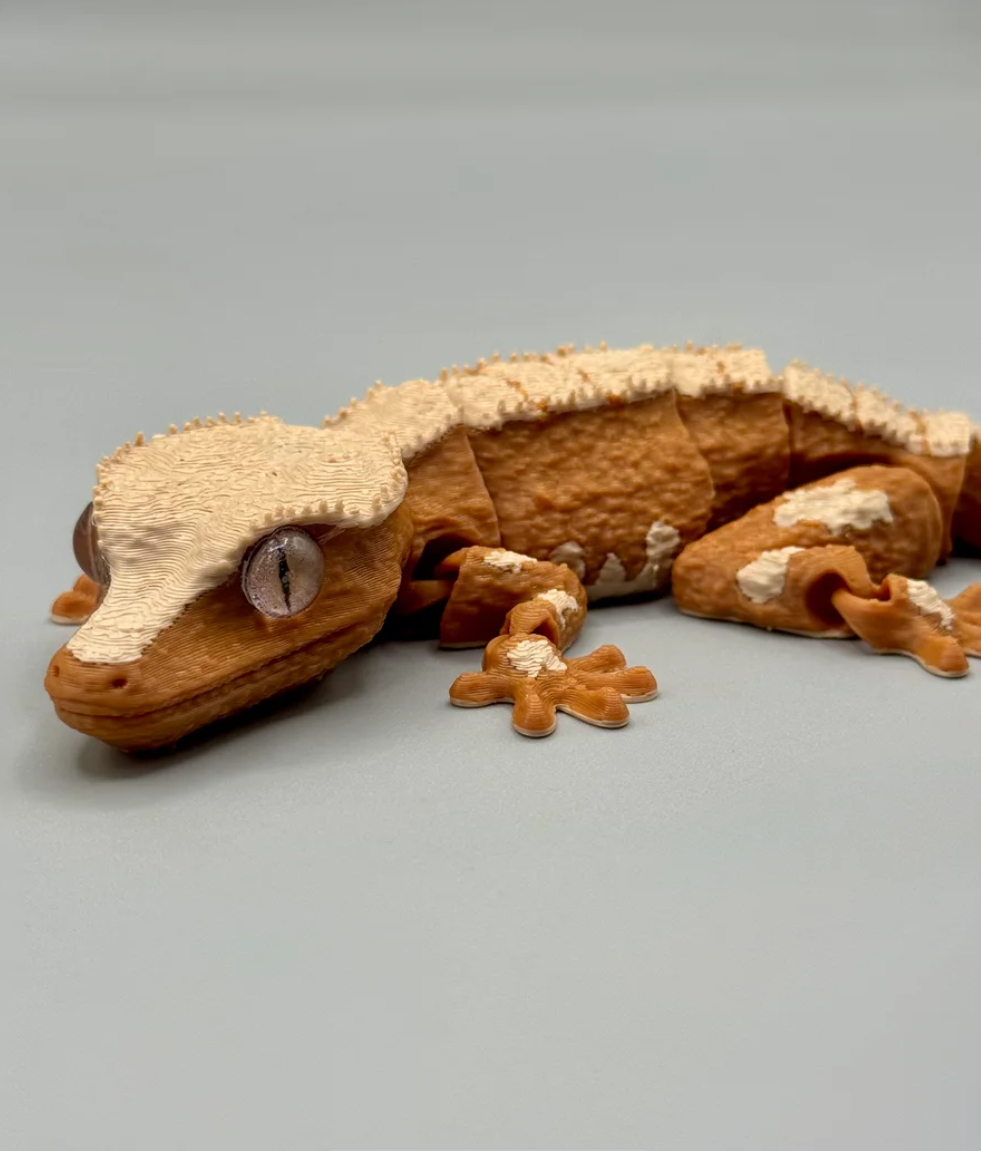 Crested Gecko