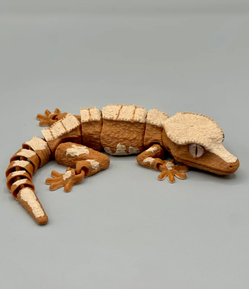 Crested Gecko