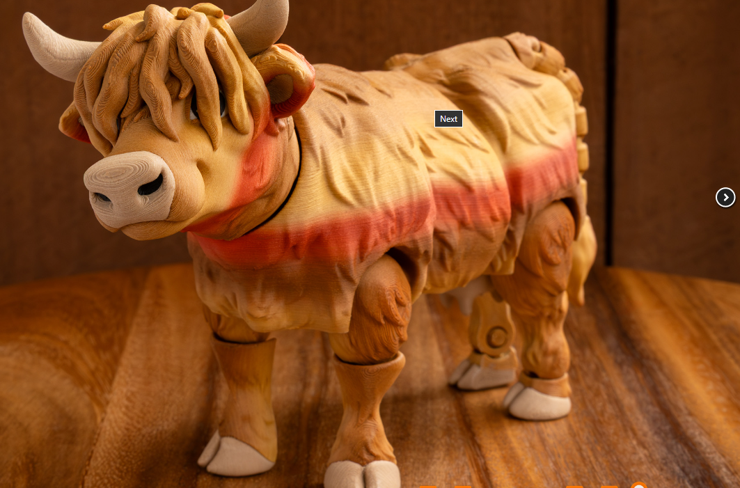 Highland Cow