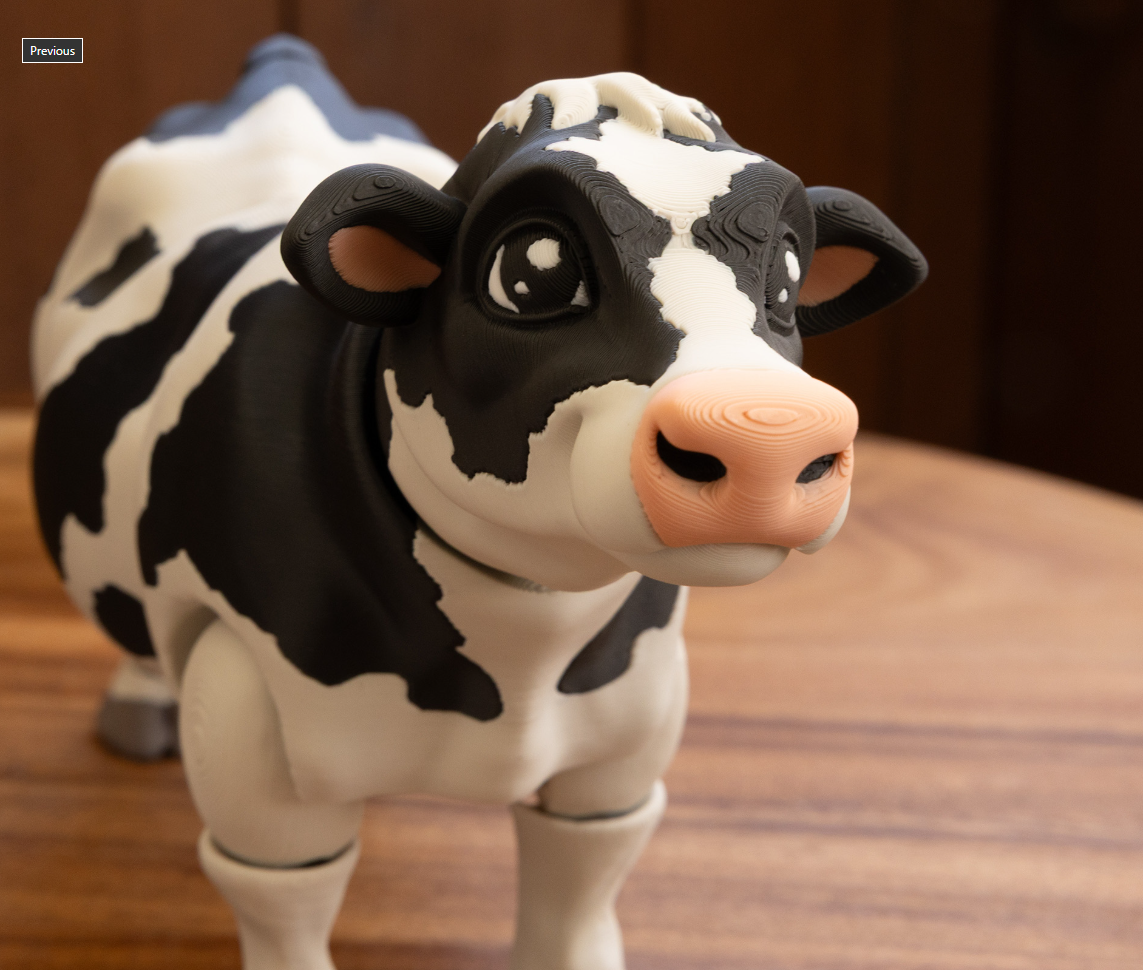 Dairy Cow